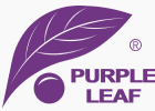 purple leaf